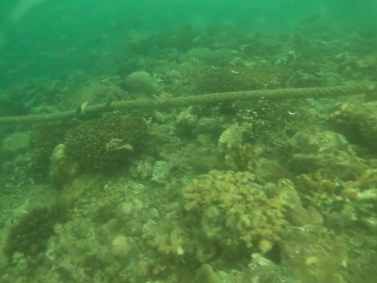 Tali sling rusak terumbu karang